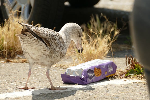 Mikroplastik w wodach gruntowych: Jak go wykrywać i eliminować?