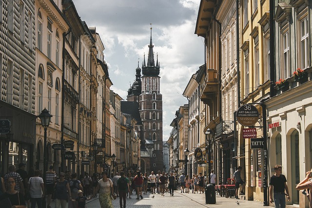 Analiza wpływu globalnych kryzysów zdrowotnych na rynek produktów farmaceutycznych w Polsce - 5 2025